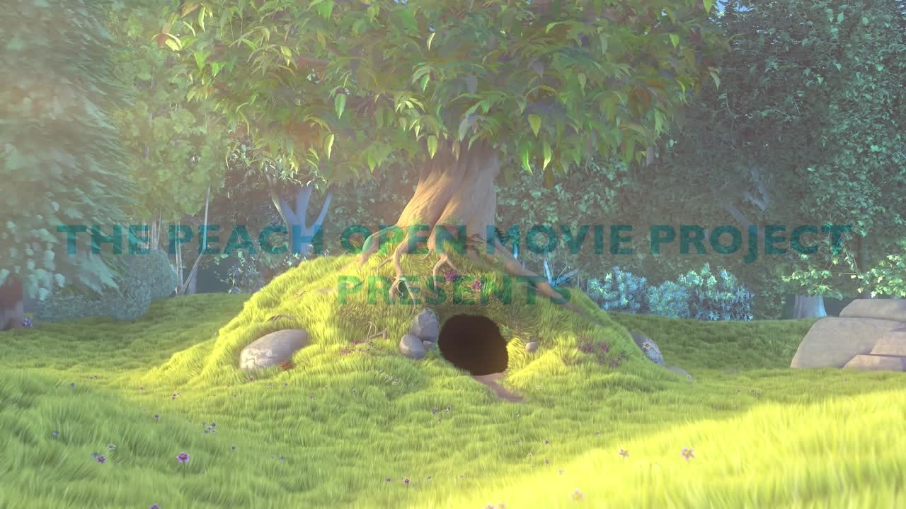 Default preview image for trailer_1080p.mov video.