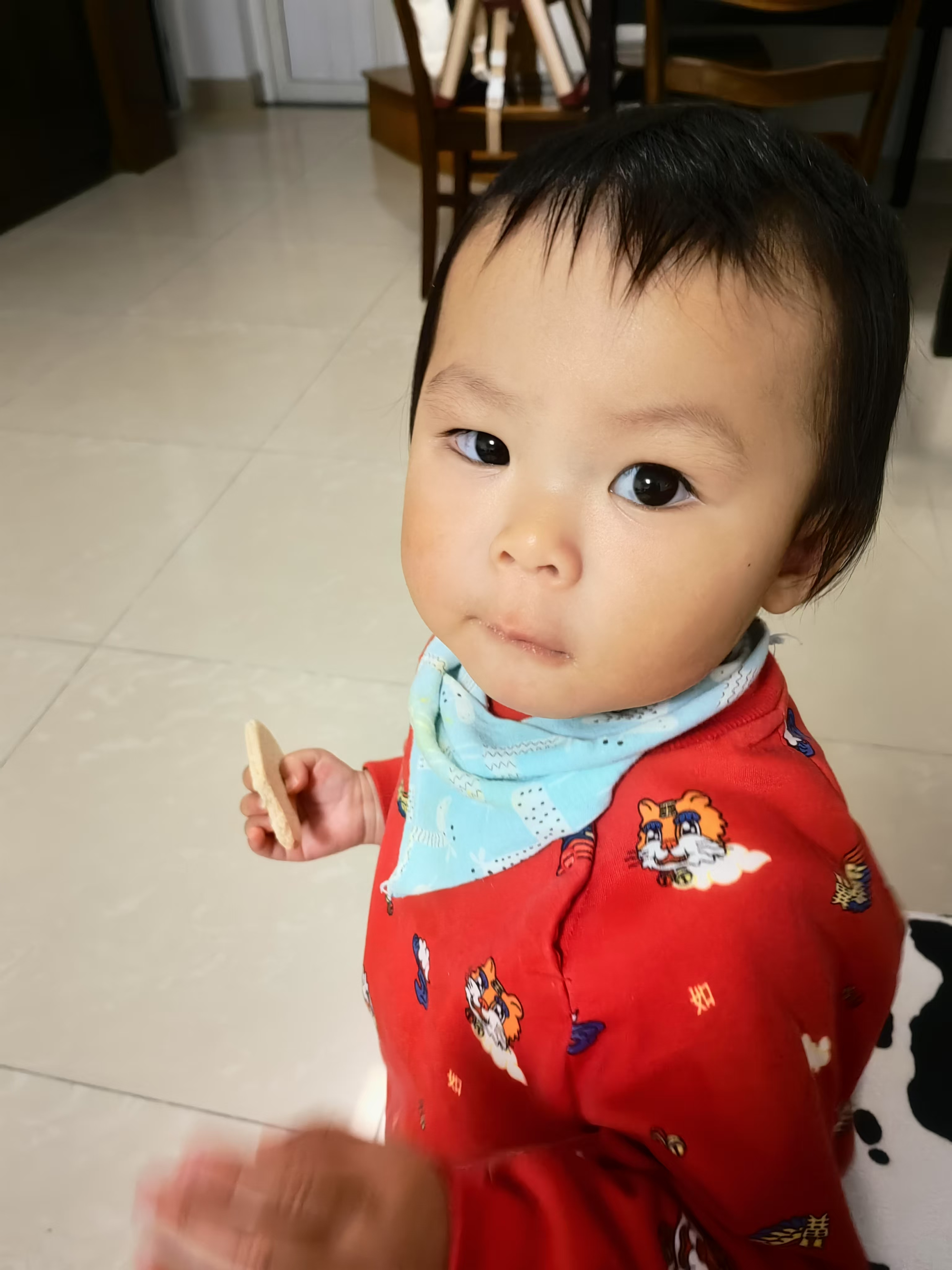 content___media_picker_get_content_0_com.android.providers.media.photopicker_media_1000040497